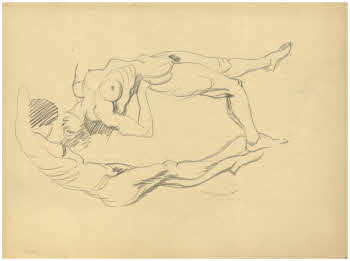 Visualizza l'immagine "FD Album 12, 7 r."